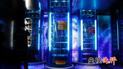 共享数字经济成长